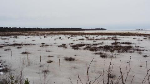 Näkymä Veteraanimajan lintutornista