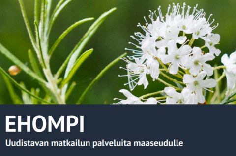 Ehompi hanke kuva